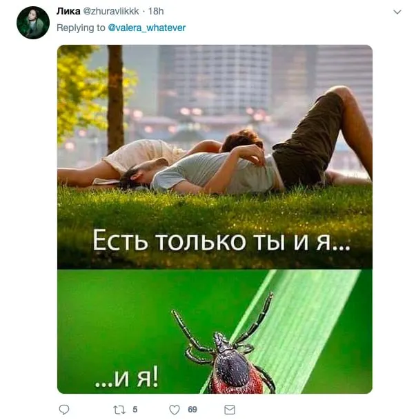 С начала эпидсезона в регионе зафиксировано 5 997 обращений в медучреждения, из них 1 515 — в Барнауле. У 147 пострадавших врачи подозревают сибирский клещевой тиф; боррелия найдена в 17,3% клещей, вирус клещевого энцефалита — в 4,9%. Всем обратившимся назначено профилактическое лечение.