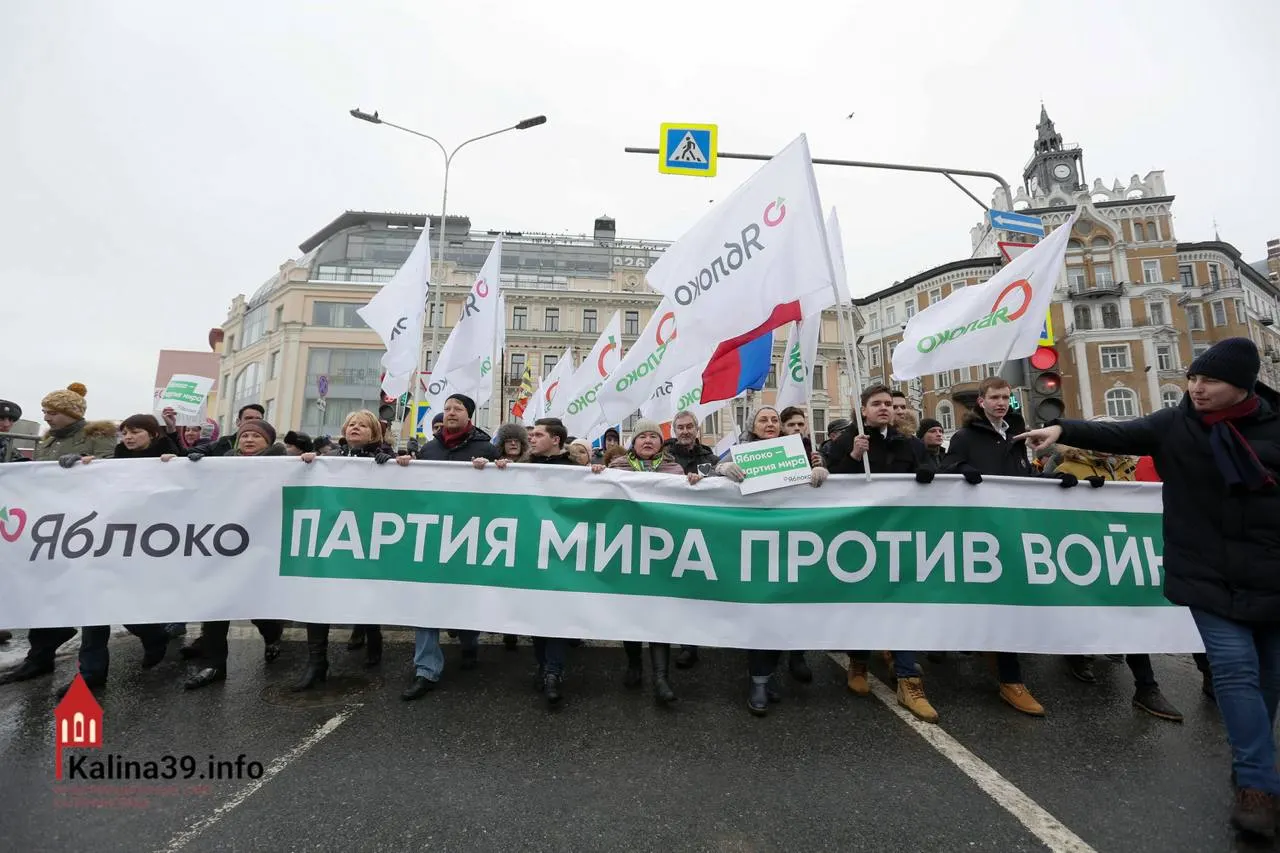После регистрации федерального списка «Яблоко» эксперты предполагают, что власти могли допустить партию, чтобы аккумулировать протестный электорат в контролируемое русло. При этом многие известных членов партии не допущены к выдвижению.