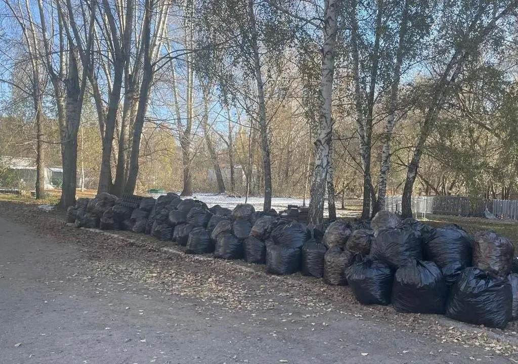 Город ищет подрядчика для круглогодичной уборки 11 территорий возле административных зданий. Начальная цена контракта — 12,5 млн рублей.