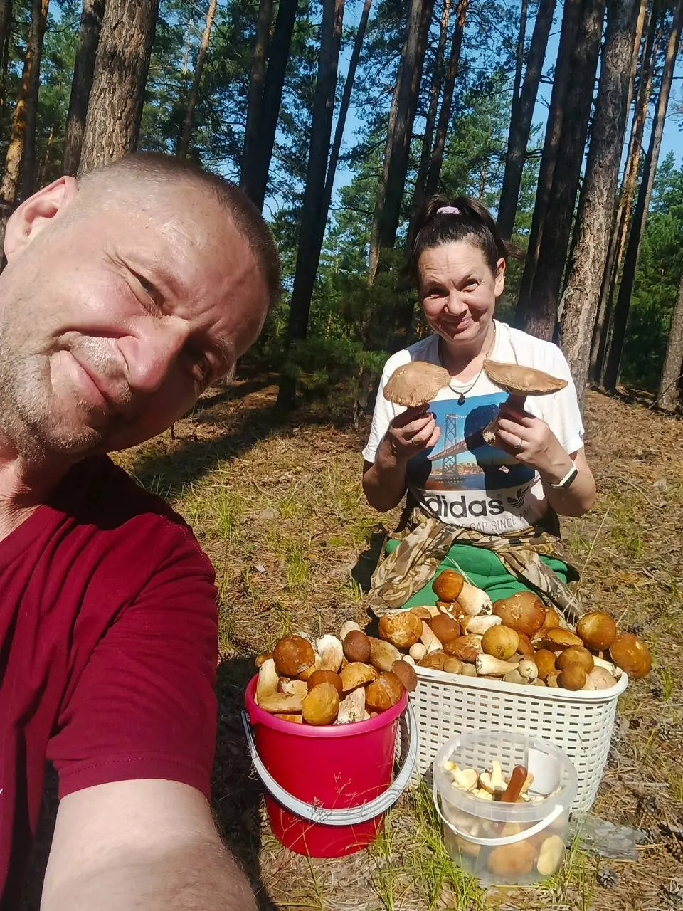 В лесах Барнаула и соседних районов уже находят белые грибы, лисички и сухие грузди; урожай пока местами небольшой и часто поражён проволочником или червивостью.