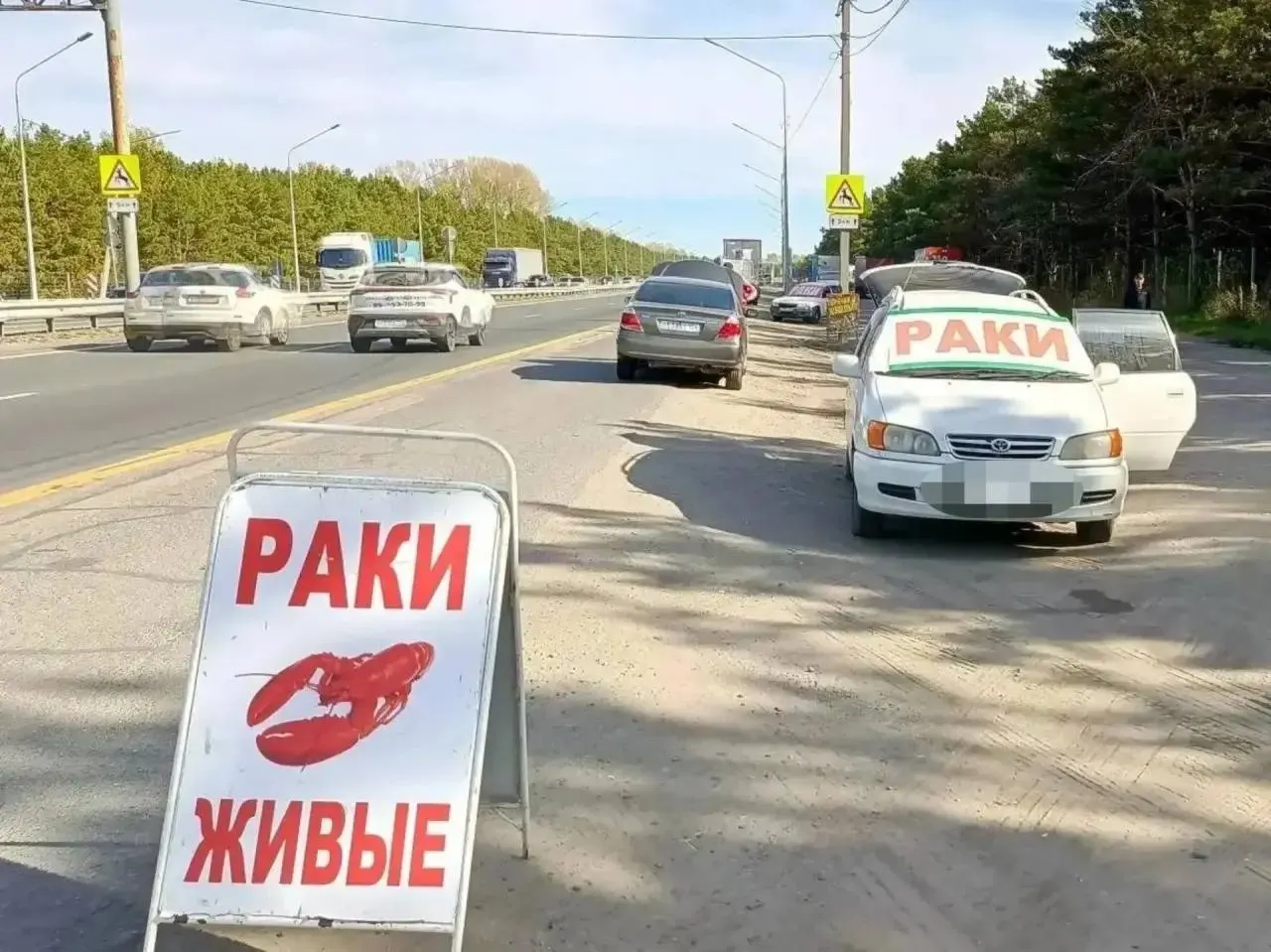В Центральном районе Барнаула обсудили меры против незаконной торговли на въезде в город. Планируются еженедельные рейды, протоколы и взаимодействие с полицией для быстрого оформления нарушений и изъятия торгового оборудования.