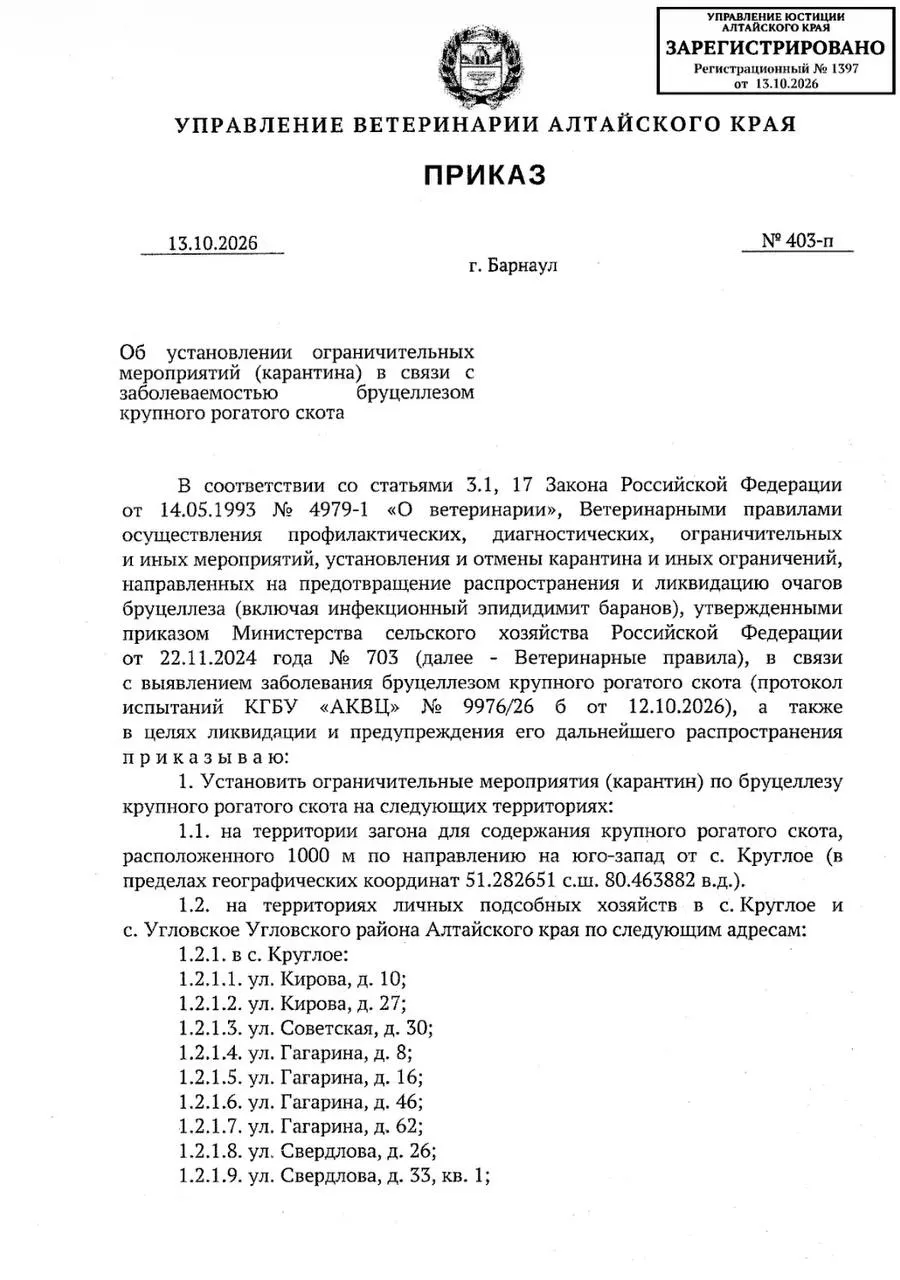 Карантин введён в Угловском районе Алтайского края после обнаружения бруцеллеза у крупного рогатого скота. Ограничения коснутся разведения, перемещения скота и оборота молочной продукции.