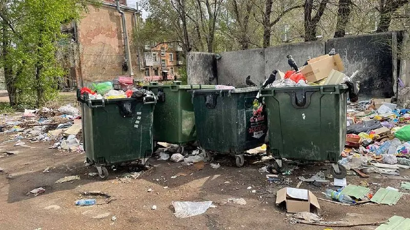 Пять компаний по вывозу и переработке мусора в регионе в 2025 году получили свыше 2,7 млрд руб. выручки; суммарная прибыль составила 94,3 млн руб. Четыре из пяти операторов завершили год с положительным результатом, один — с убытком.