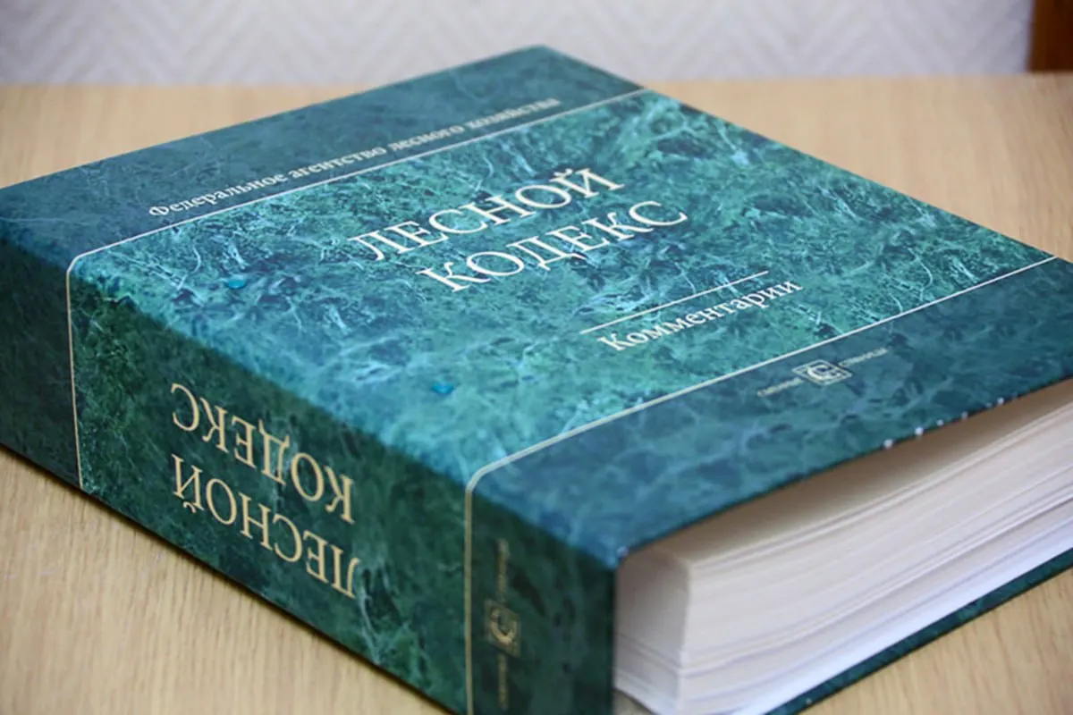 С момента принятия в 2006 году в Лесной кодекс внесли 79 пакетов поправок — документ фактически изменился. Эксперт по лесному хозяйству считает, что кодекс устарел и требует полной замены и существенного упрощения.