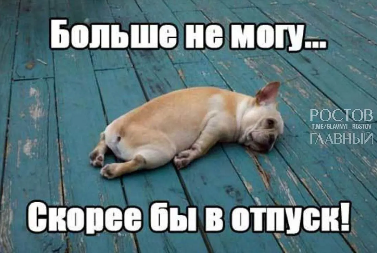 В Госдуме предложили повысить минимальную продолжительность ежегодного отпуска с 28 до 35 дней, чтобы компенсировать входящие в отпуск выходные и снизить риск профессионального выгорания.