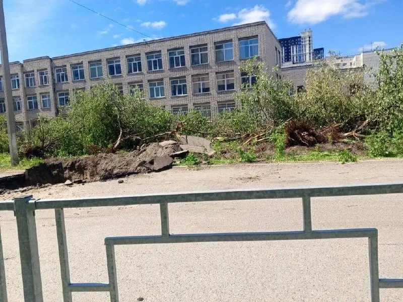 Возле школы №27 в центре Барнаула выкорчевали и спилили яблони: деревья росли менее чем в трёх метрах от теплотрассы, что нарушает охранную зону. Новую высадку обещают провести до конца лета в другом месте.