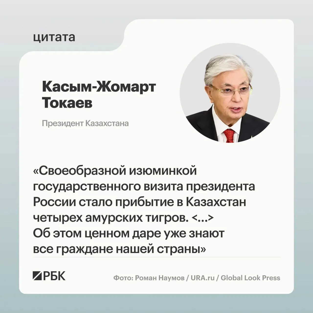 Россия передала Казахстану семейство амурских тигров по просьбе Астаны — животные направлены на восстановление популяции в республике.