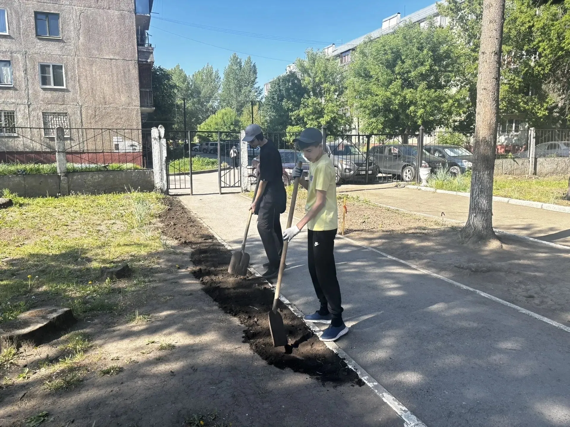 Летом более 2 тысяч учеников из Барнаула смогут трудиться: уборка, озеленение и мелкий ремонт в пришкольных территориях. Для многих это первый опыт и возможность заработать.