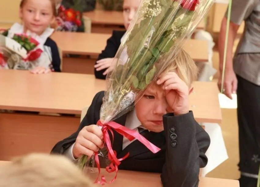 Заместитель главы Минпросвещения сообщил, что 11‑летняя модель школы признана оптимальной и изменений в продолжительности обучения сейчас не планируется. Все стандарты и донастройки будут вводиться с учётом именно 11 классов.