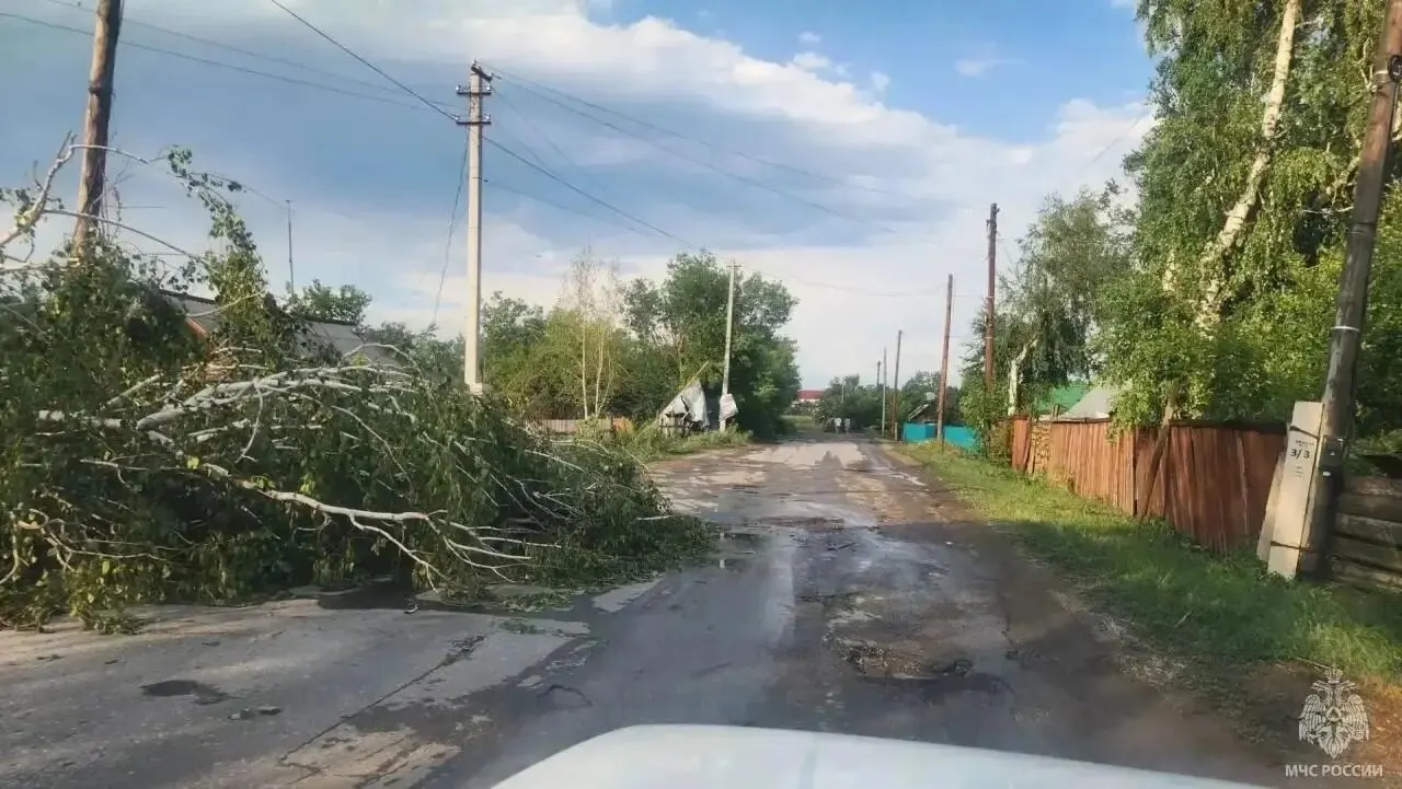 Сильный ветер и дождь в Краснощёковском и Чарышском районах Алтайского края сорвали крыши, повалили деревья и обесточили десятки населённых пунктов; более 6 тысяч домов остались без электричества.