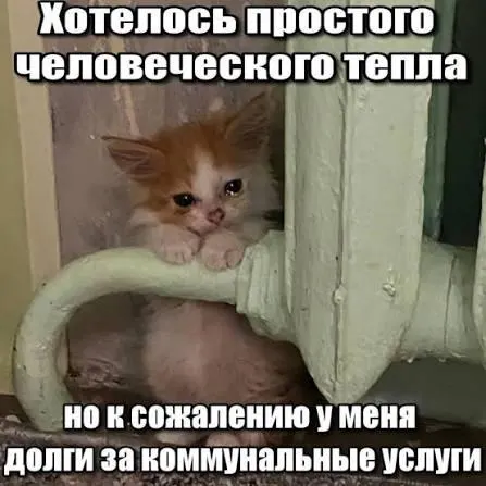 Суд подтвердил, что трёхлетний срок исковой давности препятствует включению в квитанции задолженностей по капремонту старше трёх лет — это защищает покупателей вторичного жилья и наследников.