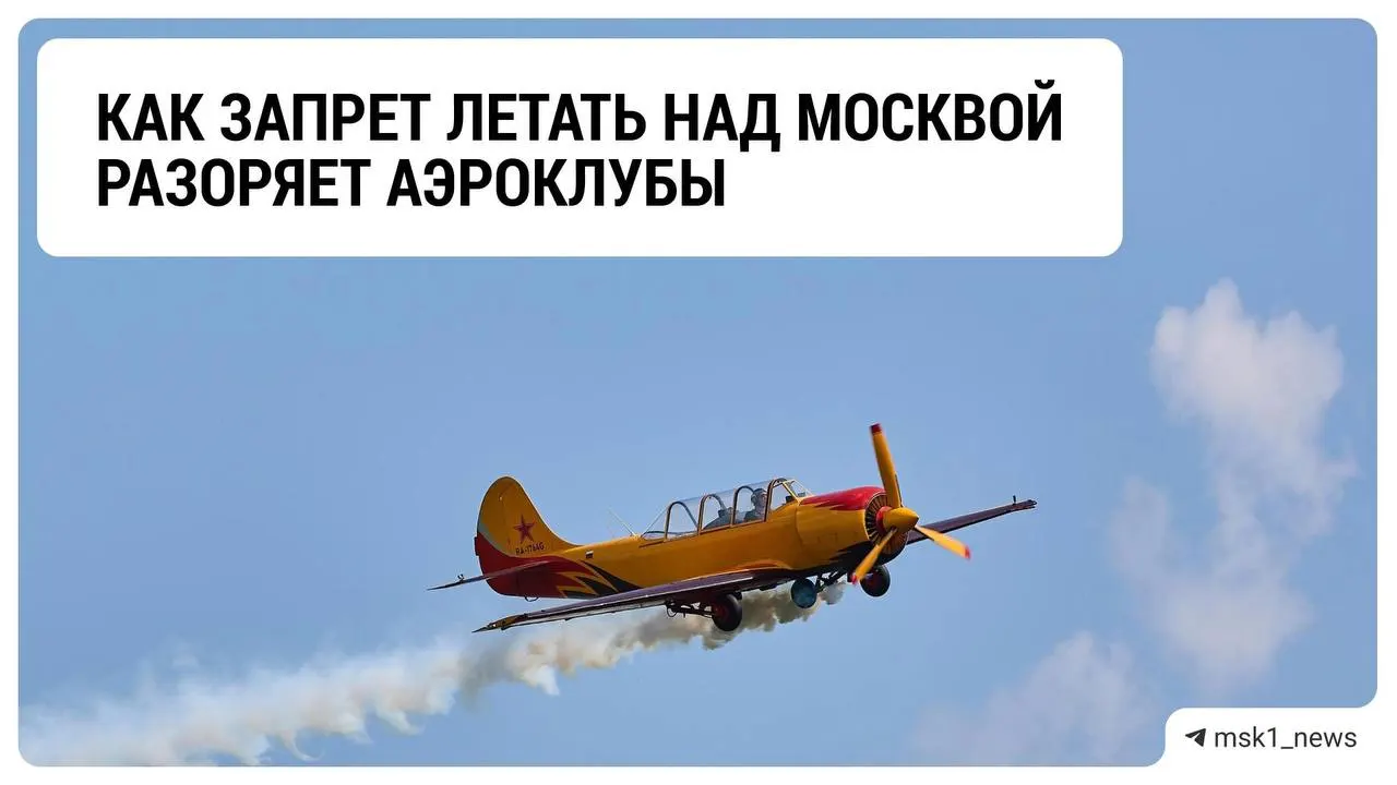 В отрасли аэроклубов отмечают финансовые убытки и неопределённость из-за ограничений на полёты в связи с мерами против дронов.
