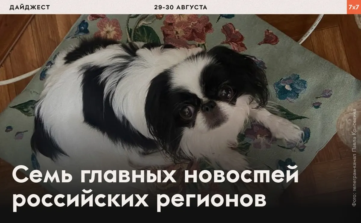 Кратко о главных событиях по России и регионам: политзаключенные, агитационные дела, меры властей и региональные запреты.