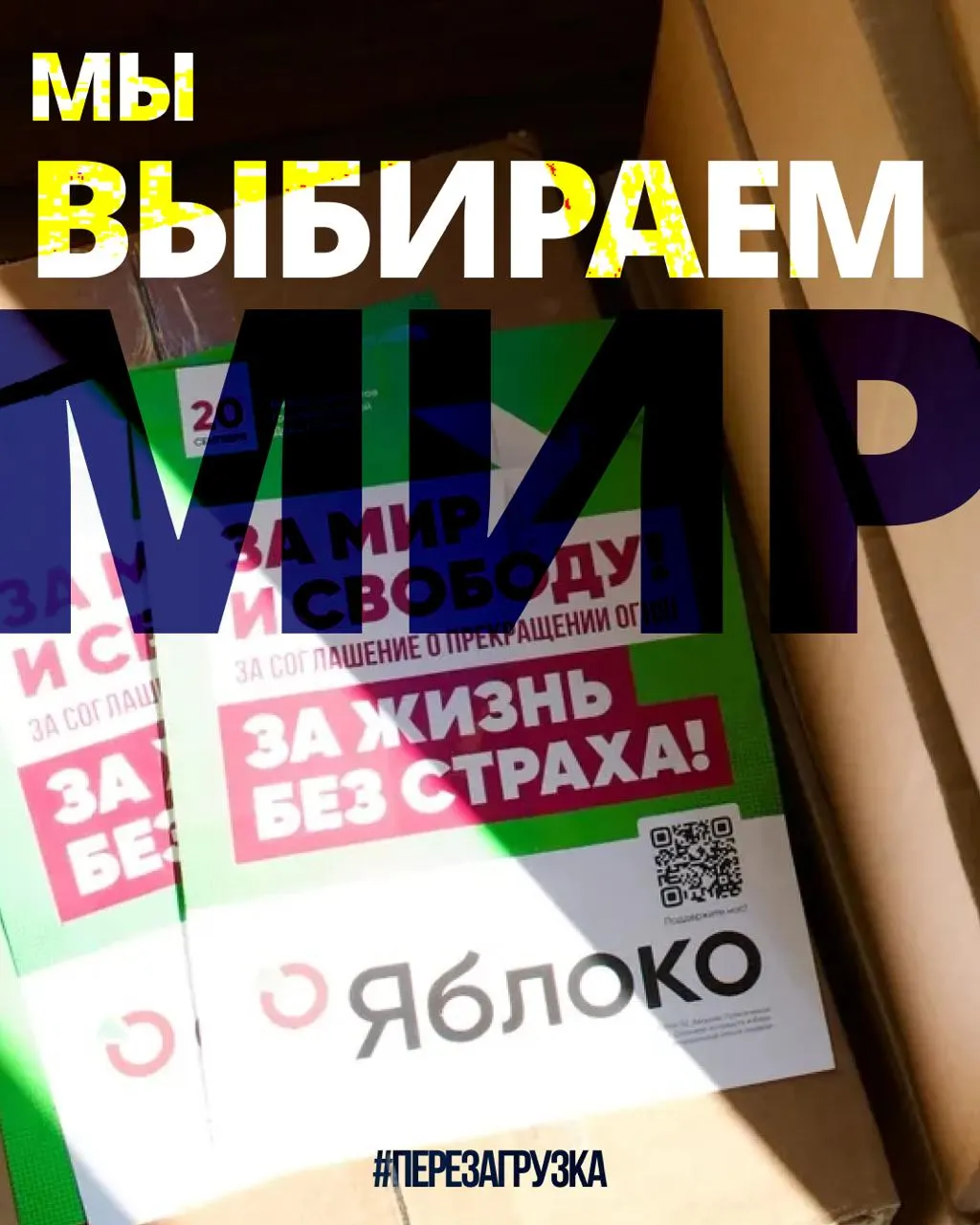 Кампания партии идёт в 53 регионах; суд рассматривает апелляцию, а сторонники присоединяются и поддерживают движение за мир и свободу.