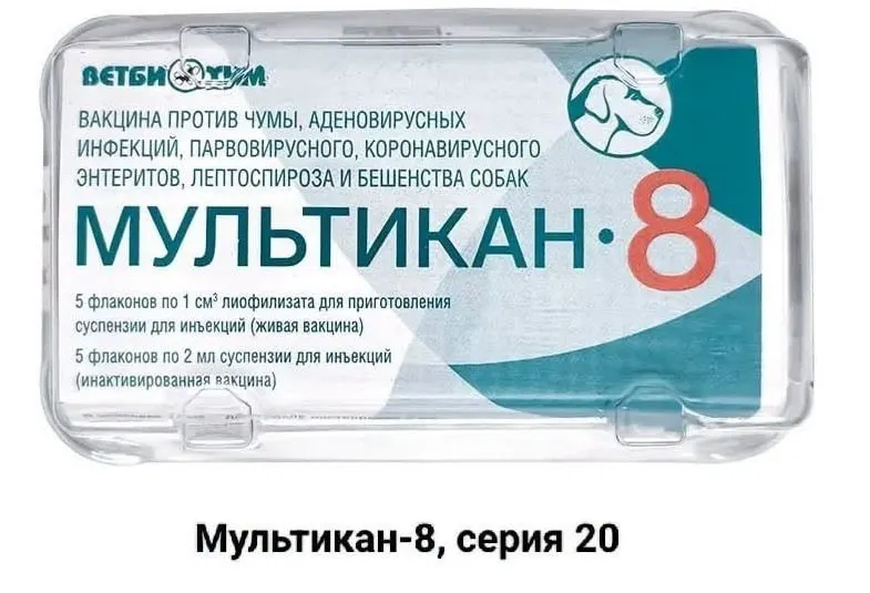 Владельцы животных требуют независимого анализа после гибели собак после прививки Мультикан-8; они считают, что вакцина могла быть причиной смертей и настаивают на проверке.