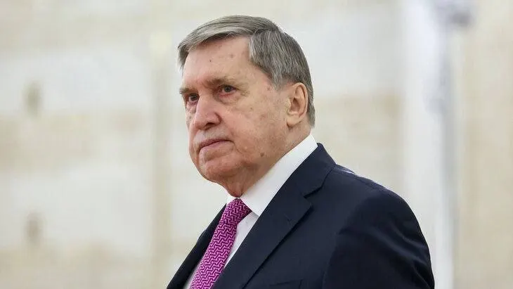 Подготовка встречи в городе на Неве обсуждается, сообщил официальный представитель. Среди пунктов — согласование переговоров, участие Кирилла Дмитриева и отсутствие контактов с Зеленским.