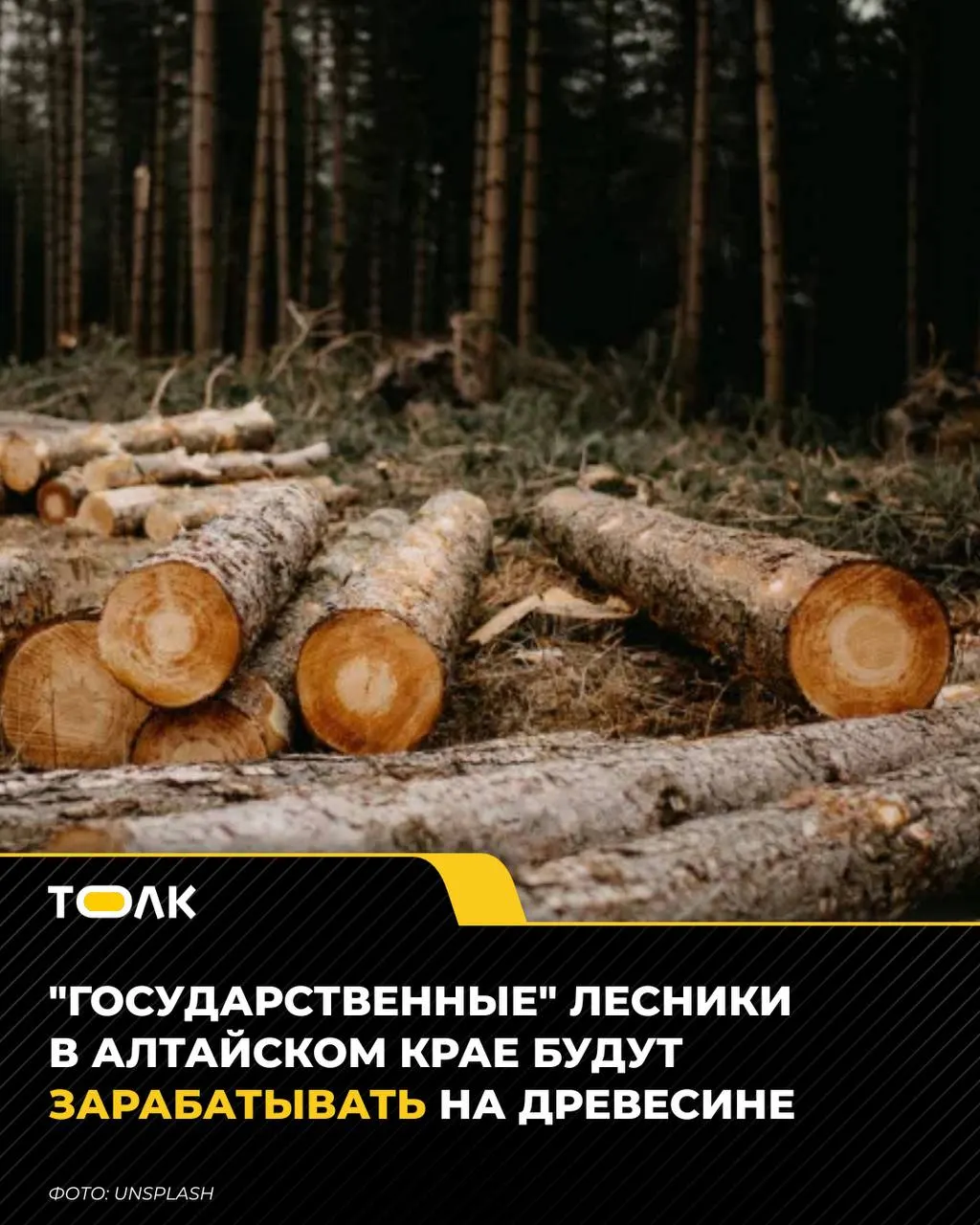 Лесохозяйственные учреждения региона смогут реализовывать спелую и перестойную древесину; вырученные средства направят на охрану лесов и их восстановление.